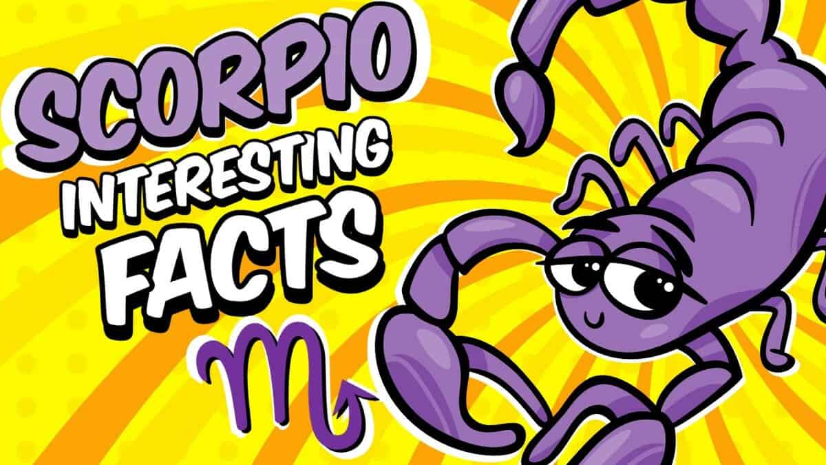 Interesting Facts About Scorpio Zodiac Sign